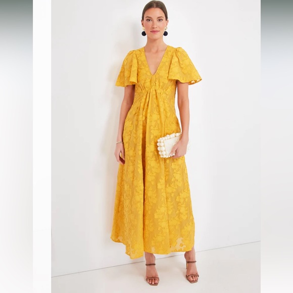 LA DoubleJ Dresses & Skirts - La Double J Tuckernuck Begonia Ocra Proper Dress $1100 NWT Small S